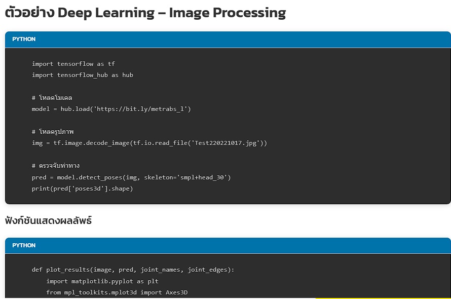 💻 Python Colab Gemini